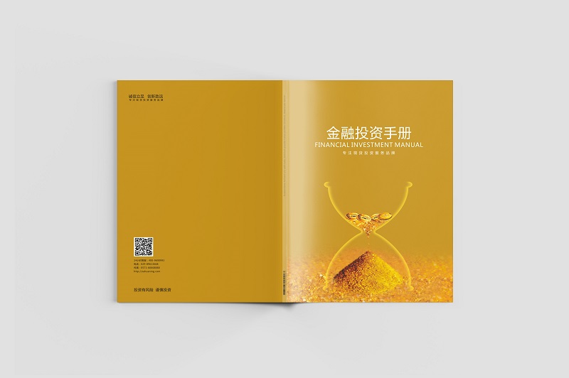 金融集團(tuán)畫冊(cè)設(shè)計(jì)-金融投資公司宣傳冊(cè)設(shè)計(jì)圖片a1