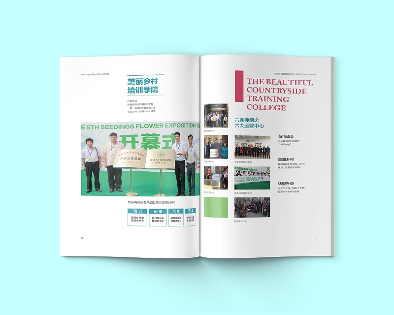 苗木交易市場畫冊設(shè)計-市場招商宣傳冊設(shè)計圖片8